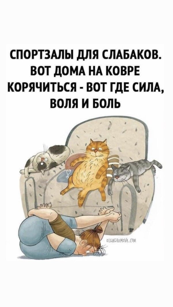 сила воли