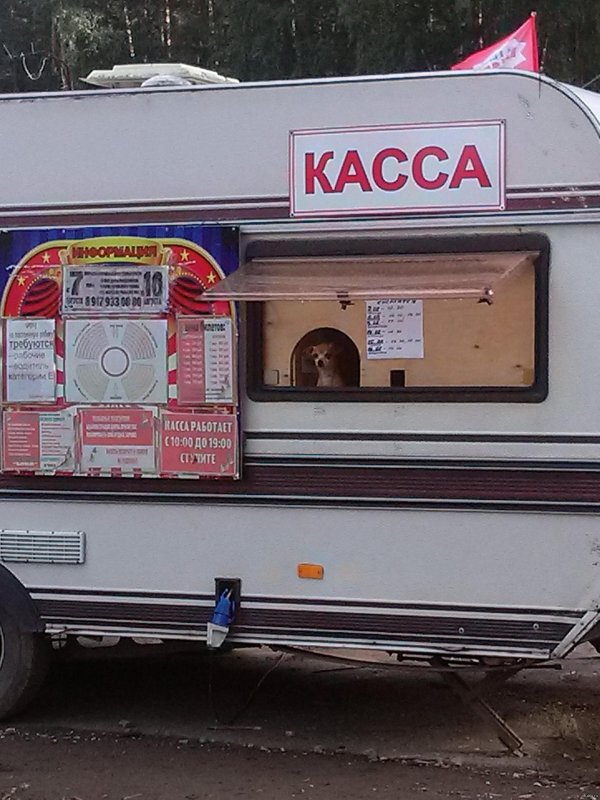 прицеп автодом