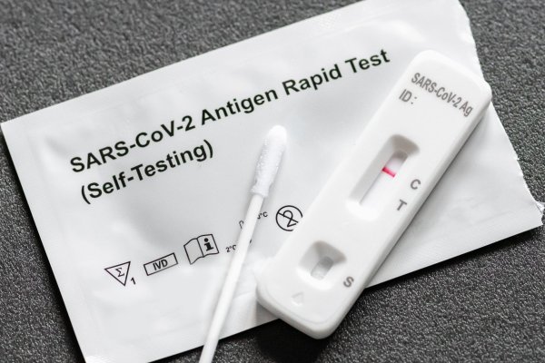 rapid antigen test
