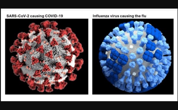 вирус ковид