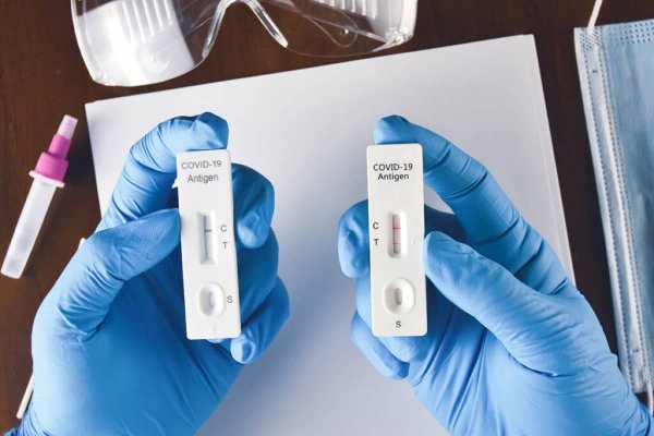rapid test covid19