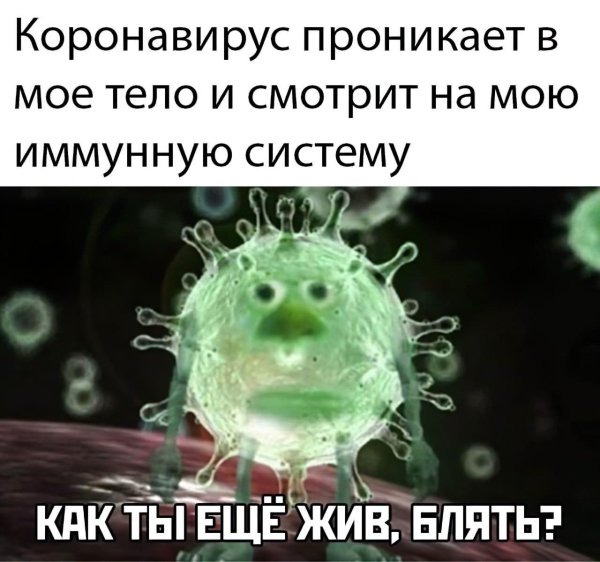 иммунной системы
