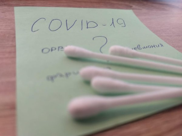 результат теста на ковид