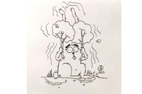 кот саймона