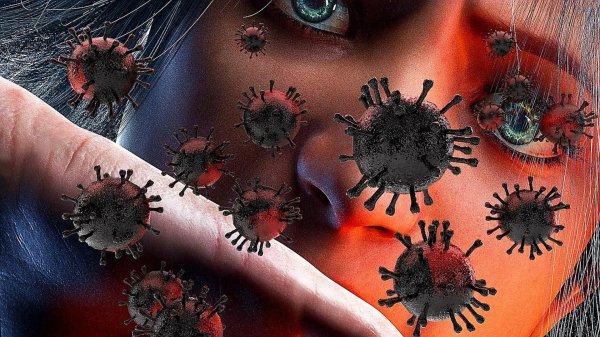 вирусы гриппа