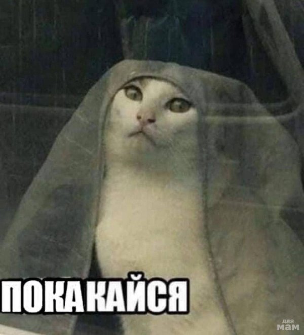 леди оленна тирелл