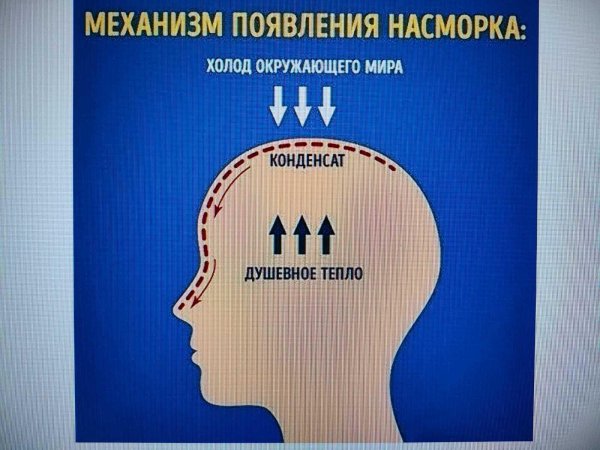 механизм появления соплей