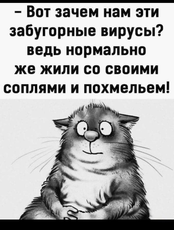 коты ирины зенюк