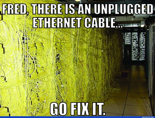 ethernet cable