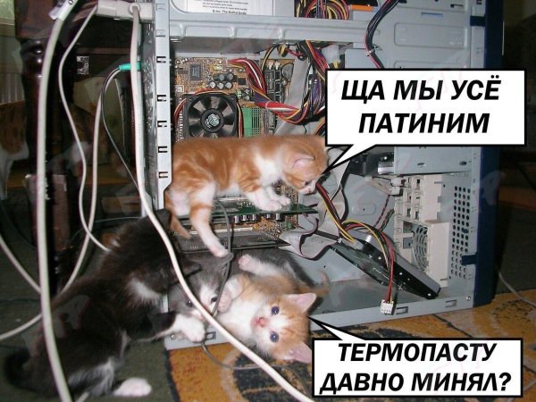 материнская плата мем