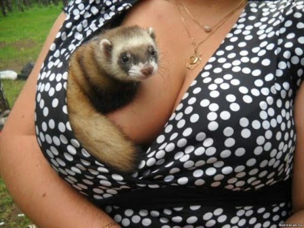 женщина кормит грудью животное