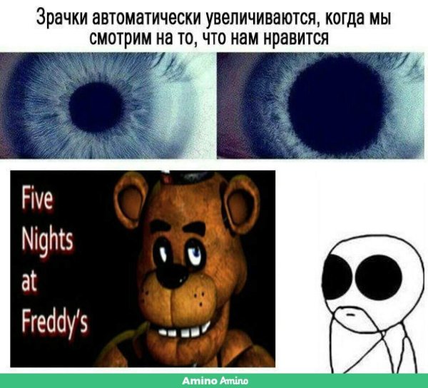 five night at freddy