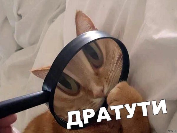лупа мем
