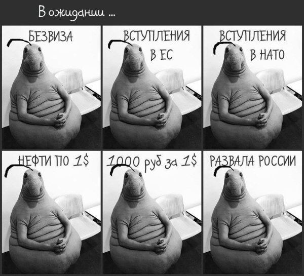 ждун прикольный