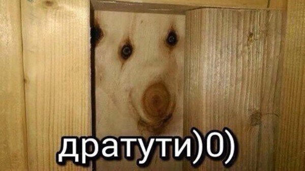 дратути оригинал
