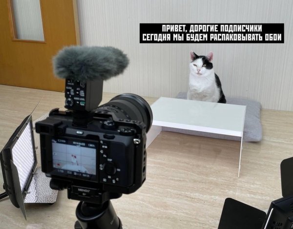 камер sony