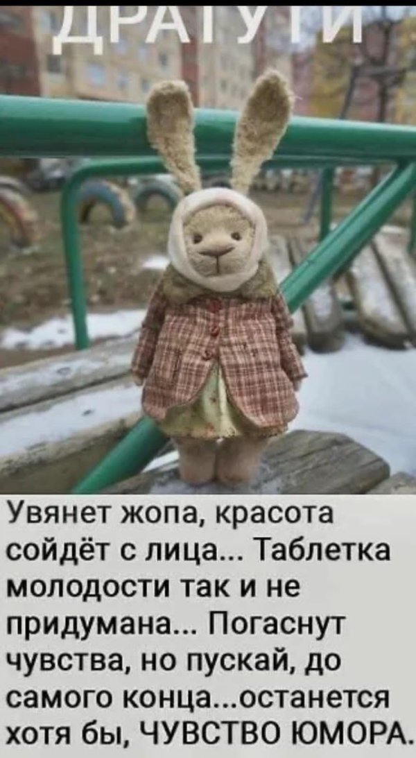 зайцы смешные