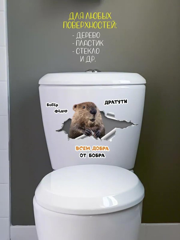 всем бобра