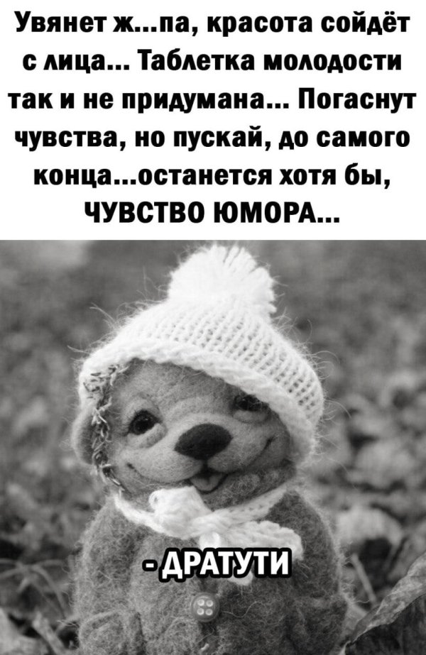 чувство юмора