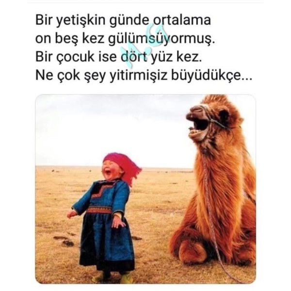 цитаты веселые