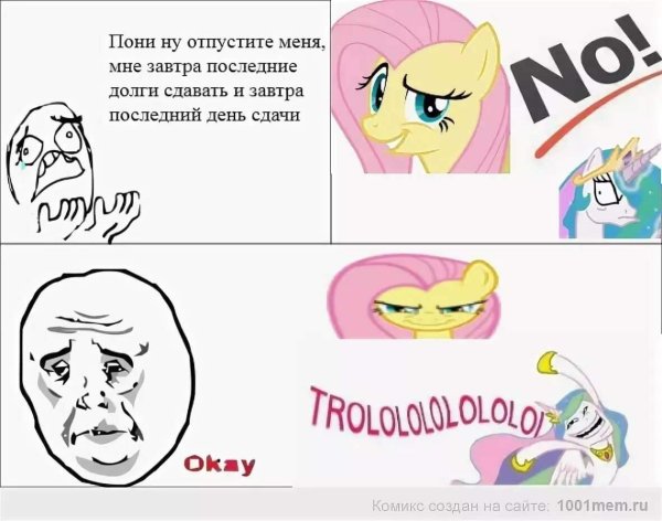 Про пони
