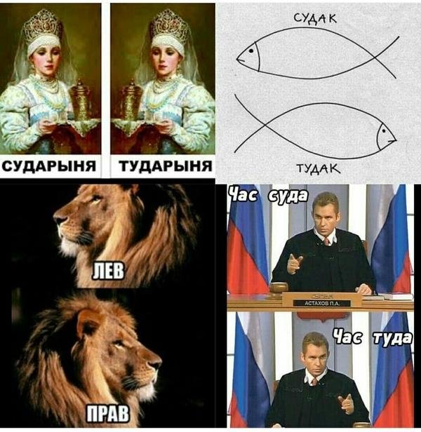 Судак тудак