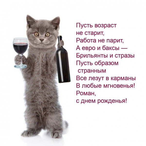 кот с бутылкой