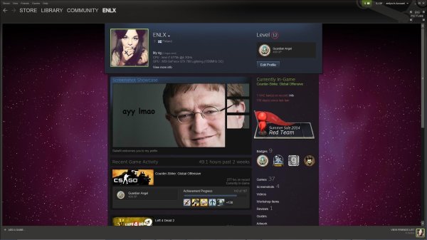 оформление стима