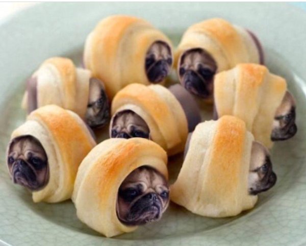 мопс хинкаль