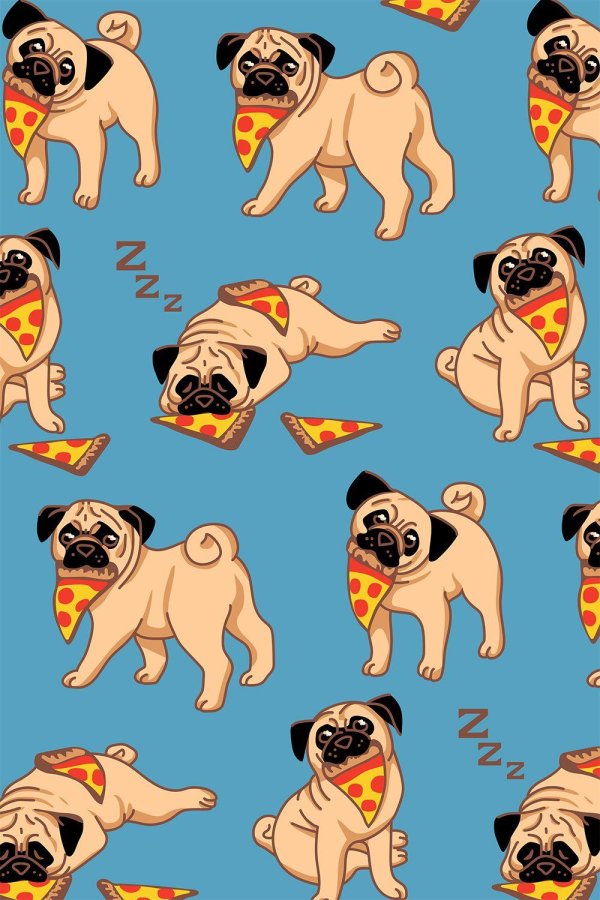 фон с мопсами