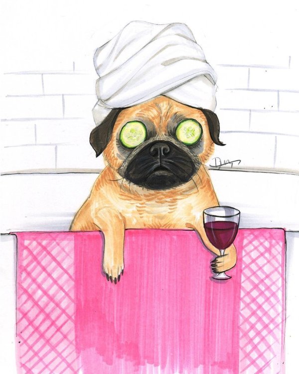 мультяшные мопсы