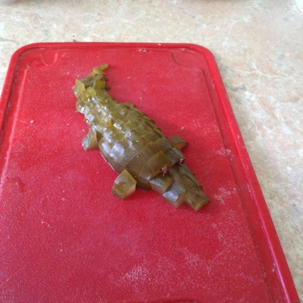 крокодил крокодил