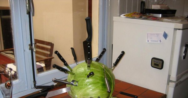 качан капуста