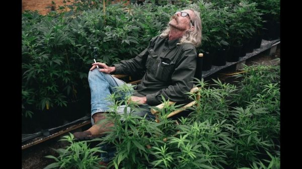 хорхе сервантес