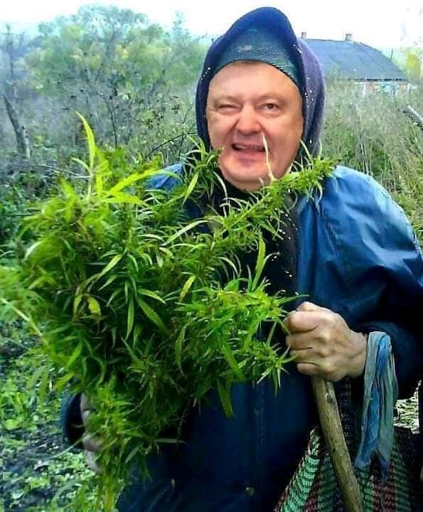 клавдия марихуановна