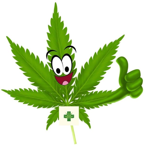 лист марихуанылист каннабиса