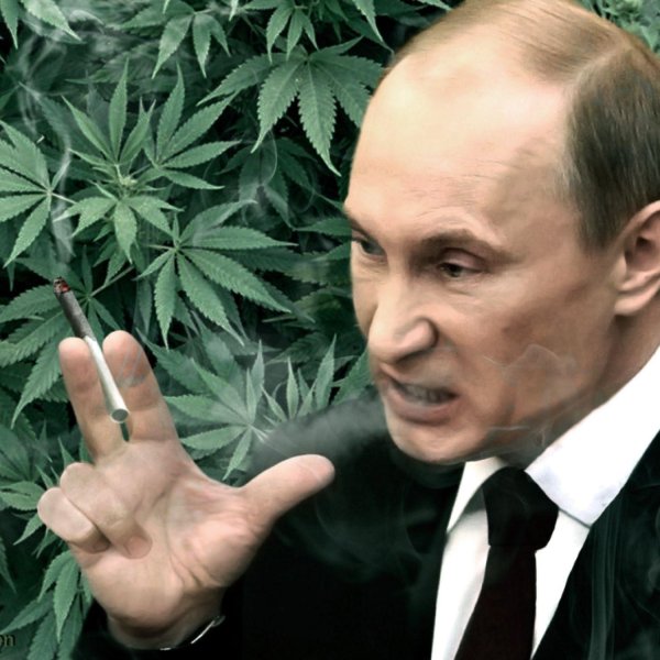 план путина