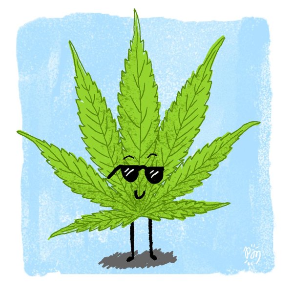 marijuana leaf
