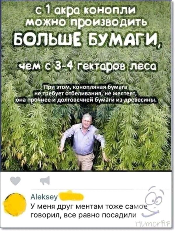 конопляная бумага