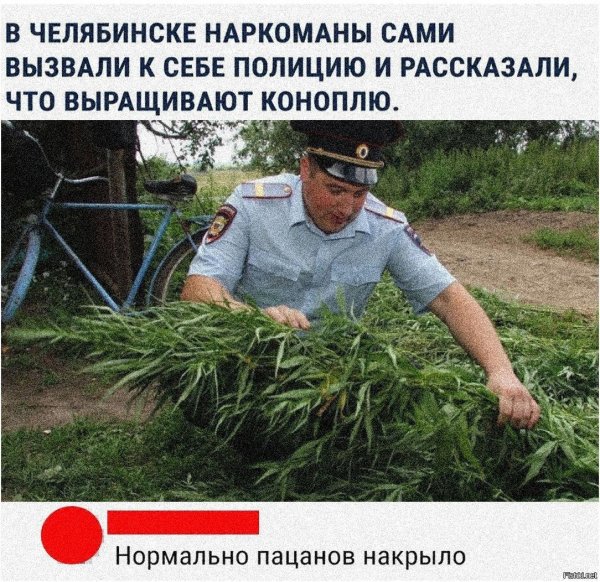 мемы про коноплю