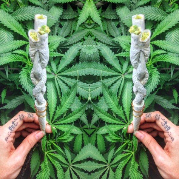 самокрутка джойнт