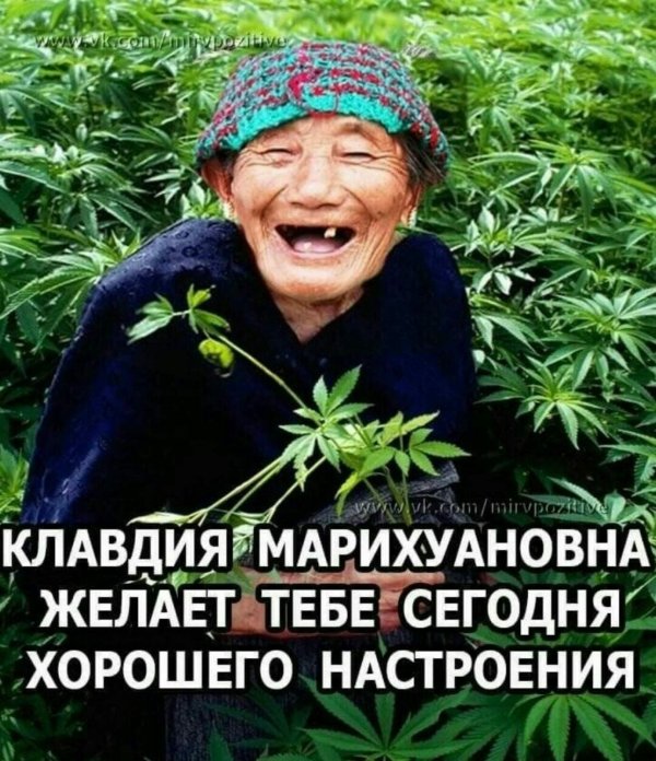 клавдия марихуановна