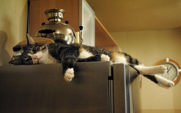 приятного дежурства