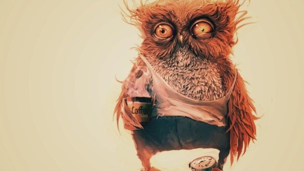 невыспавшийся совенок