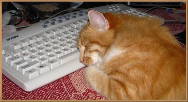 хорошей ночной смены