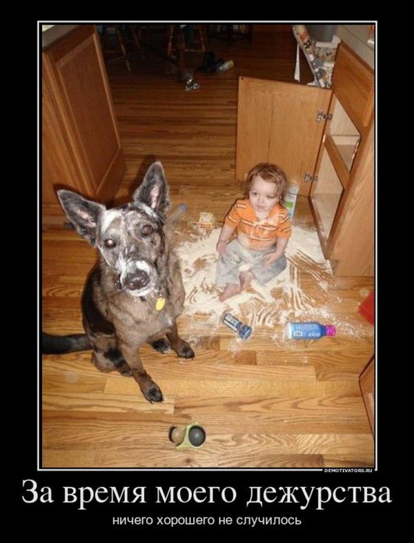 порода собак