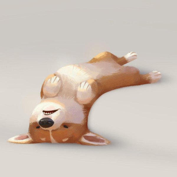 спят животные