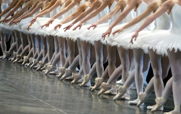 кордебалет лебединое озеро