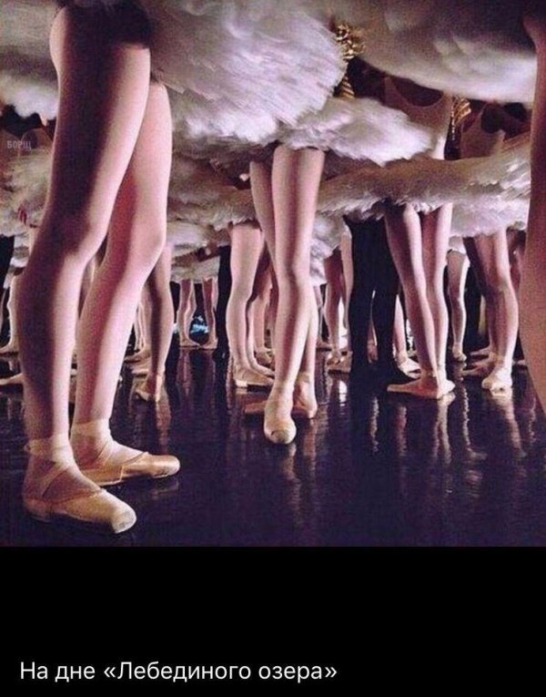лебединое озеро