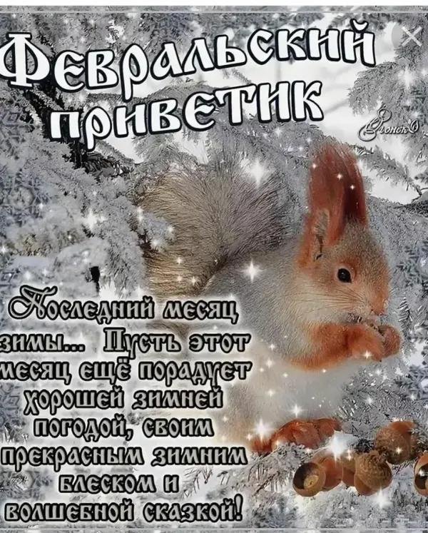 открытки с добрым утром февраля